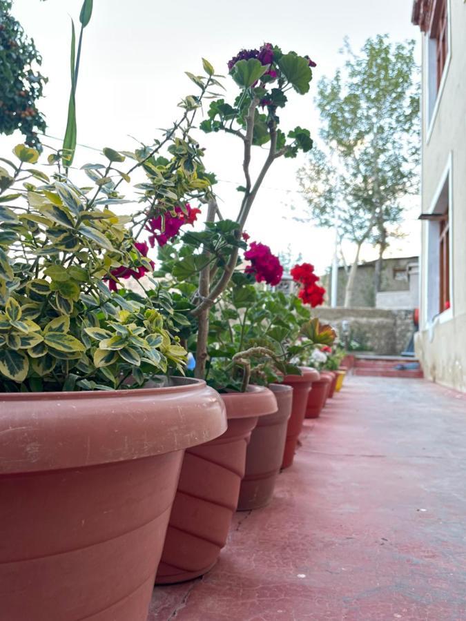 Gaywoo Guest House Leh Dış mekan fotoğraf