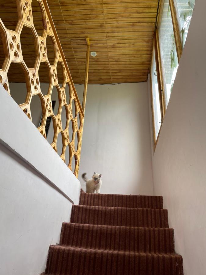 Gaywoo Guest House Leh Dış mekan fotoğraf